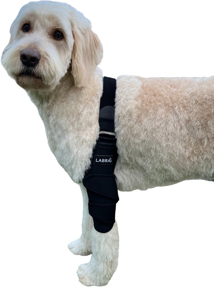 Labra Canine Shoulder Elbow Brace Left Leg Dog Wrap