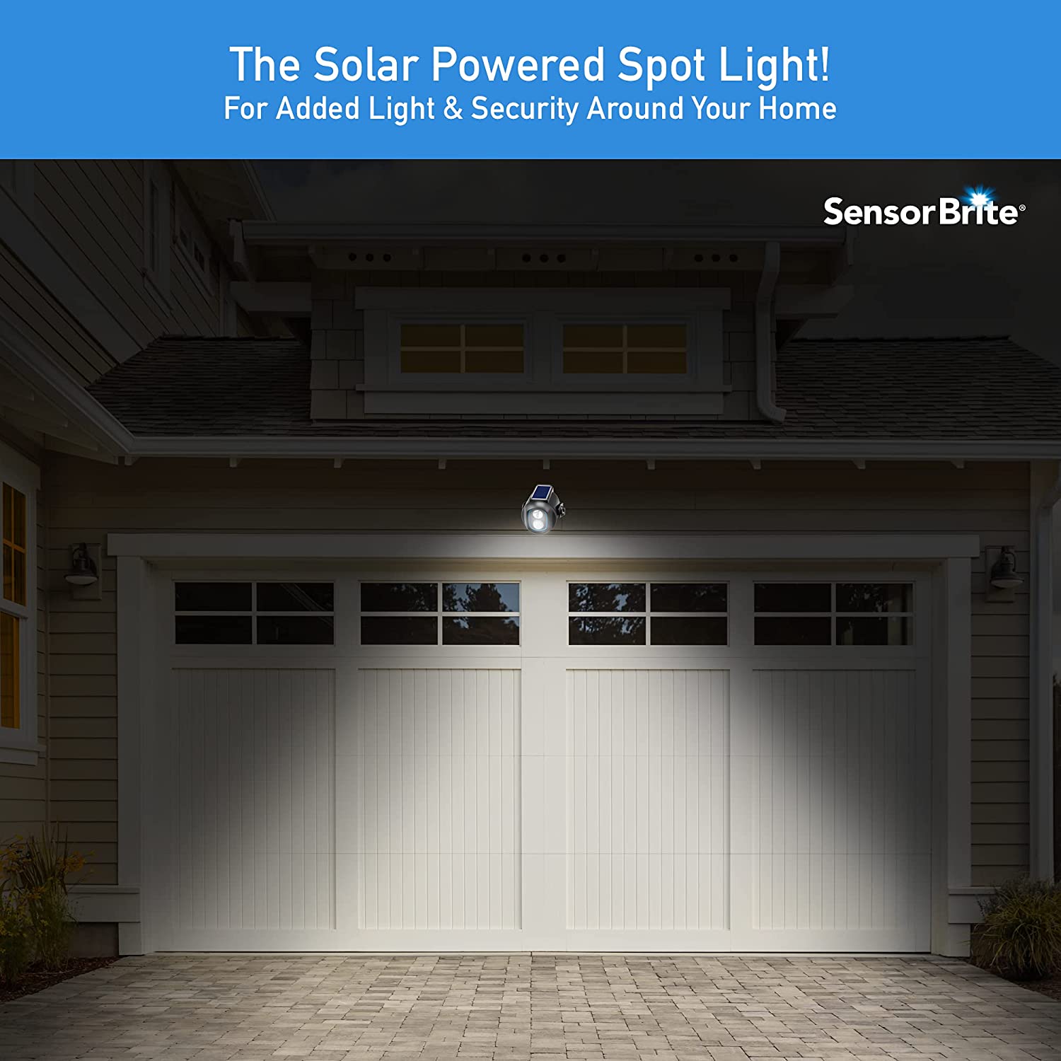 Solar Sentry Spot Light