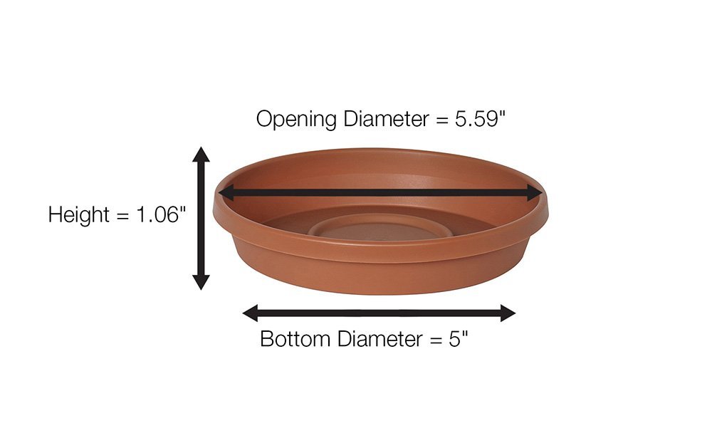 Bloem Terra Plant Saucer Tray 5.5 x 1 Plastic Round Terracotta