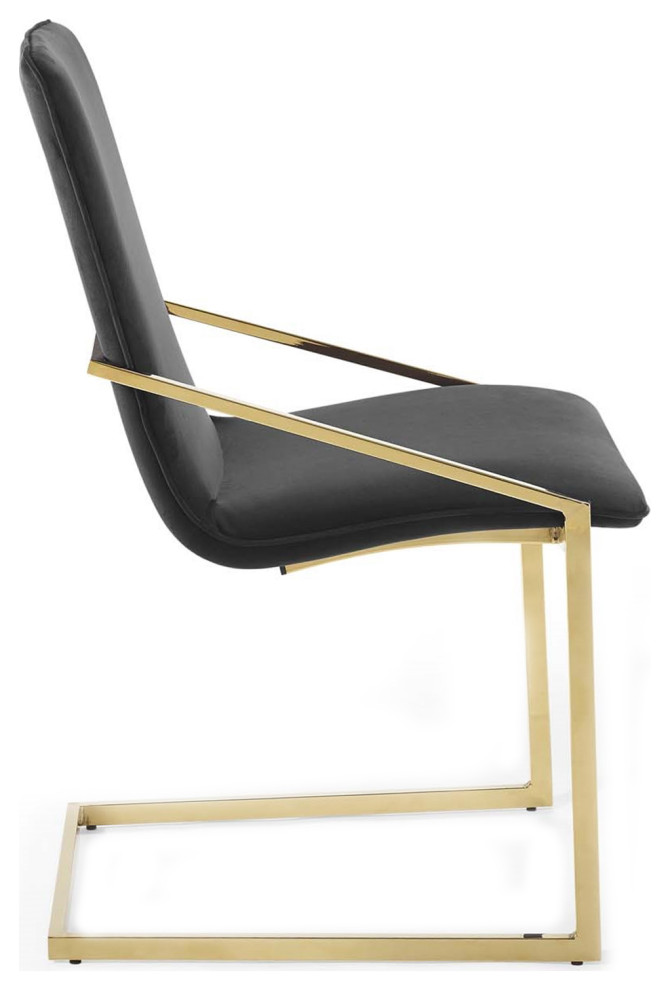Velvet Dining Chair  Karina Pierre Side Chair  Glam Gold Guest Chair   Contemporary   Dining Chairs   by mod space furniture  Houzz