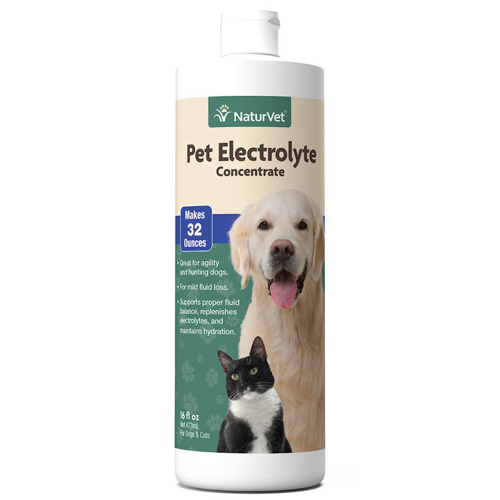 NaturVet Pet Electrolyte Concentrate for Dogs and Cats， 16 oz