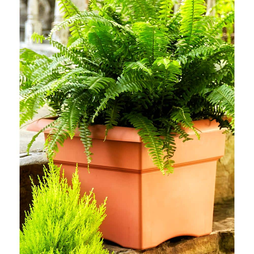 Bloem Veranda Square 18 in. Black Plastic Deck Box Planter 57918