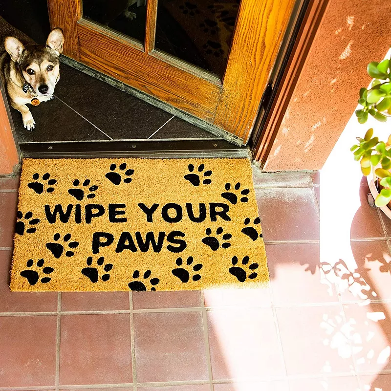 Wipe Your Paws Nonslip Welcome Doormat for Dog Lovers， Coco Coir Mat(17 x 30 in)