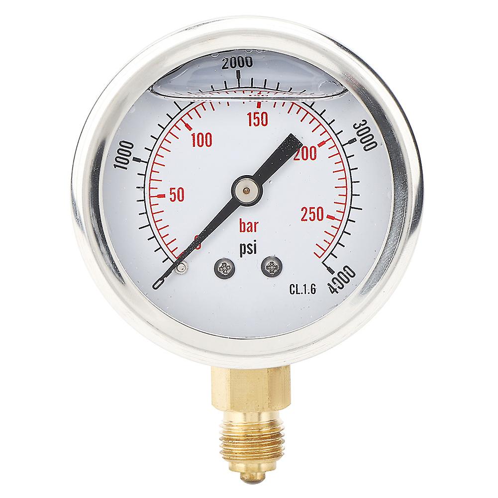 Ts Pgg604-250bar 1/4bsp Y60 Radial Oil Filled Pressure Gauge Pressure Measurement Tool