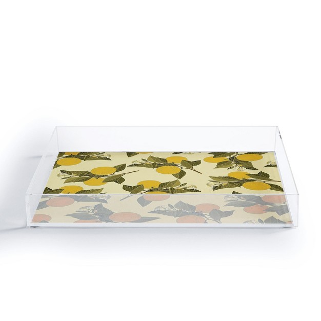 Iveta Abolina Alodie Lemons Acrylic Tray Deny Designs