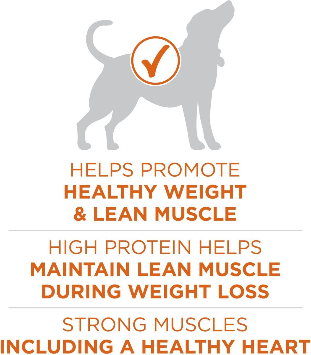 Purina ONE +Plus Adult High-Protein Healthy Weight Formula Dry Dog Food