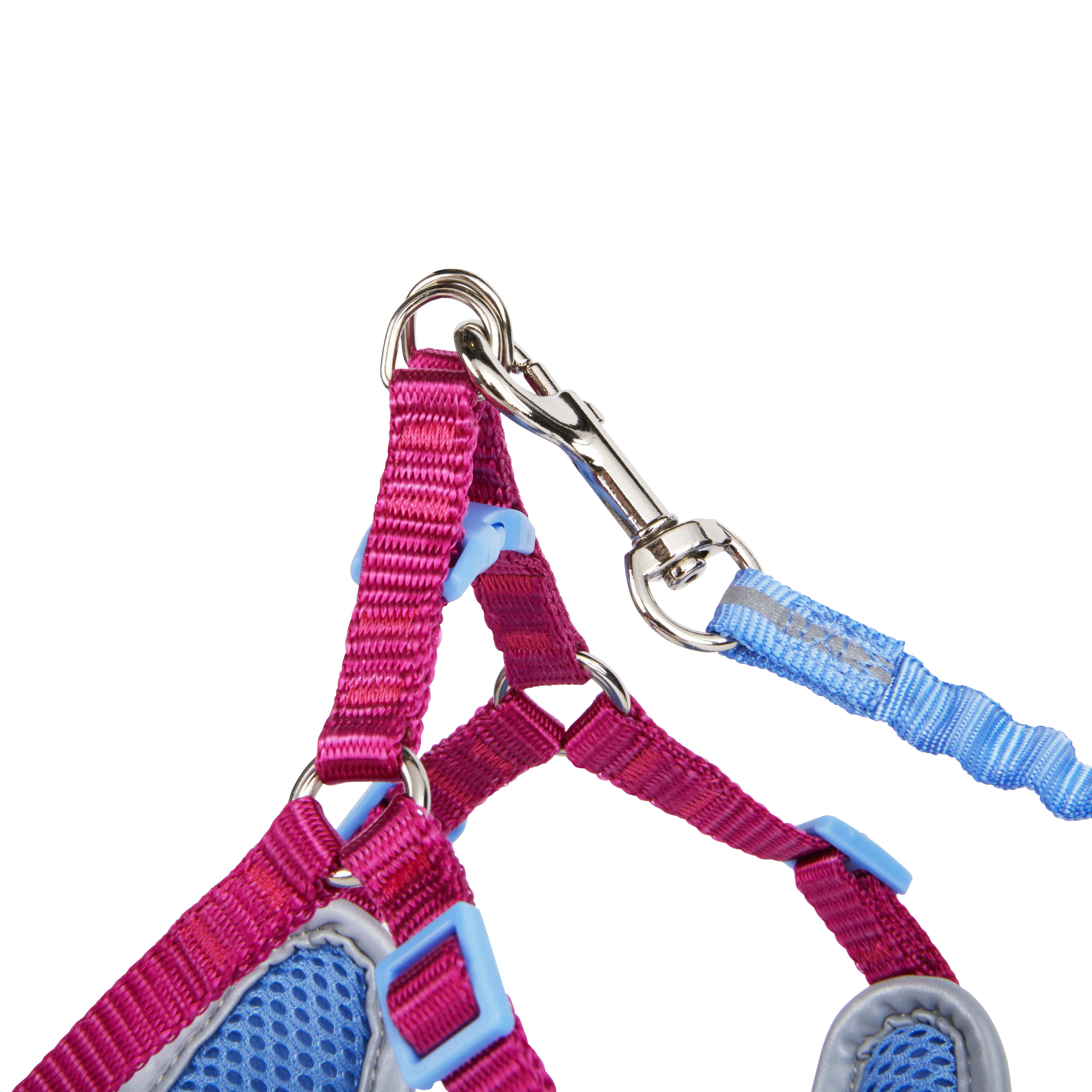 YOULY Purple Outdoor Cat Harness  Lead