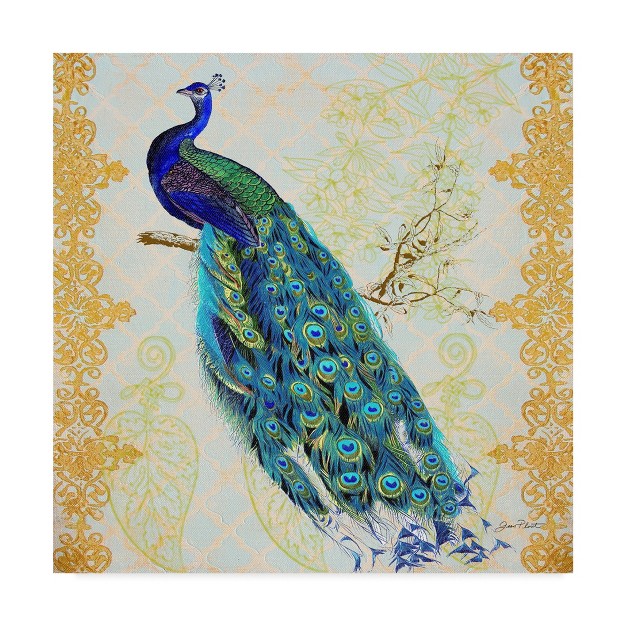 Trademark Fine Art jean Plout x27 beautiful Peacock x27 Canvas Art