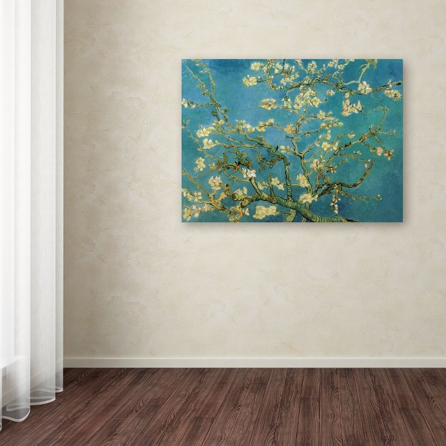 Trademark Fine Art vincent Van Gogh x27 almond Branches In Bloom 1890 x27 Canvas Art