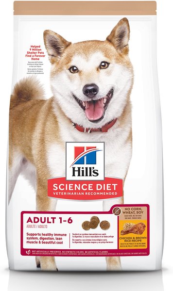 Hill's Science Diet Adult 1-6 Chicken and Brown Rice Recipe Dry Dog Food