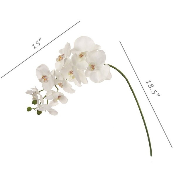 2Pack White Phalaenopsis Orchid Stem with 9 Flowers by Floral Home