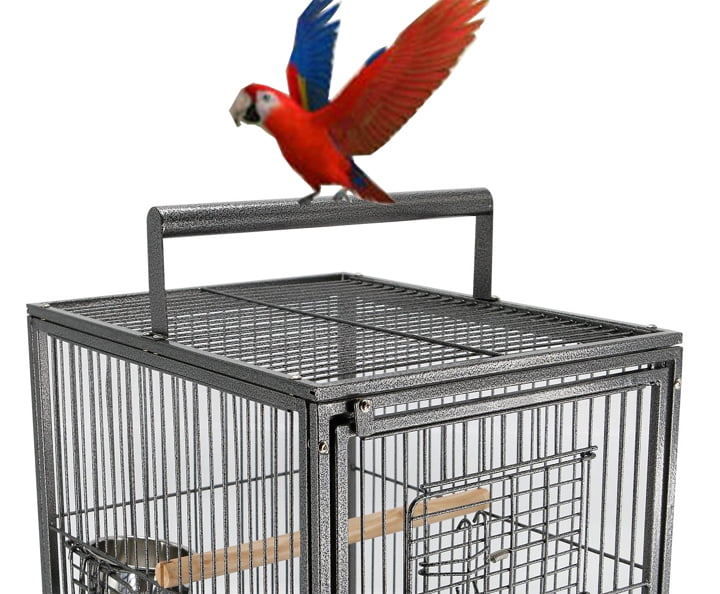 22-Inch Portable Heavy Duty Travel Veterinary Parrot Bird Carrier Play Stand Perch Cage Feeding Bowl Stand with Handle and Accessories