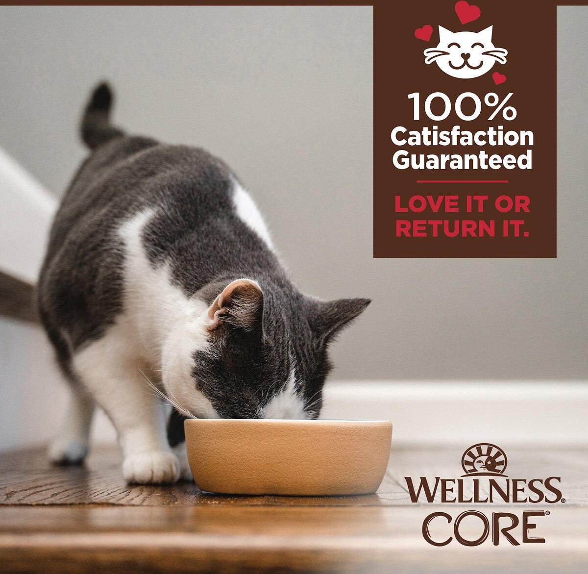 Wellness Tiny Tasters Chicken and Beef Grain-Free Minced Wet Cat Food， 1.75-oz pouch， case of 12