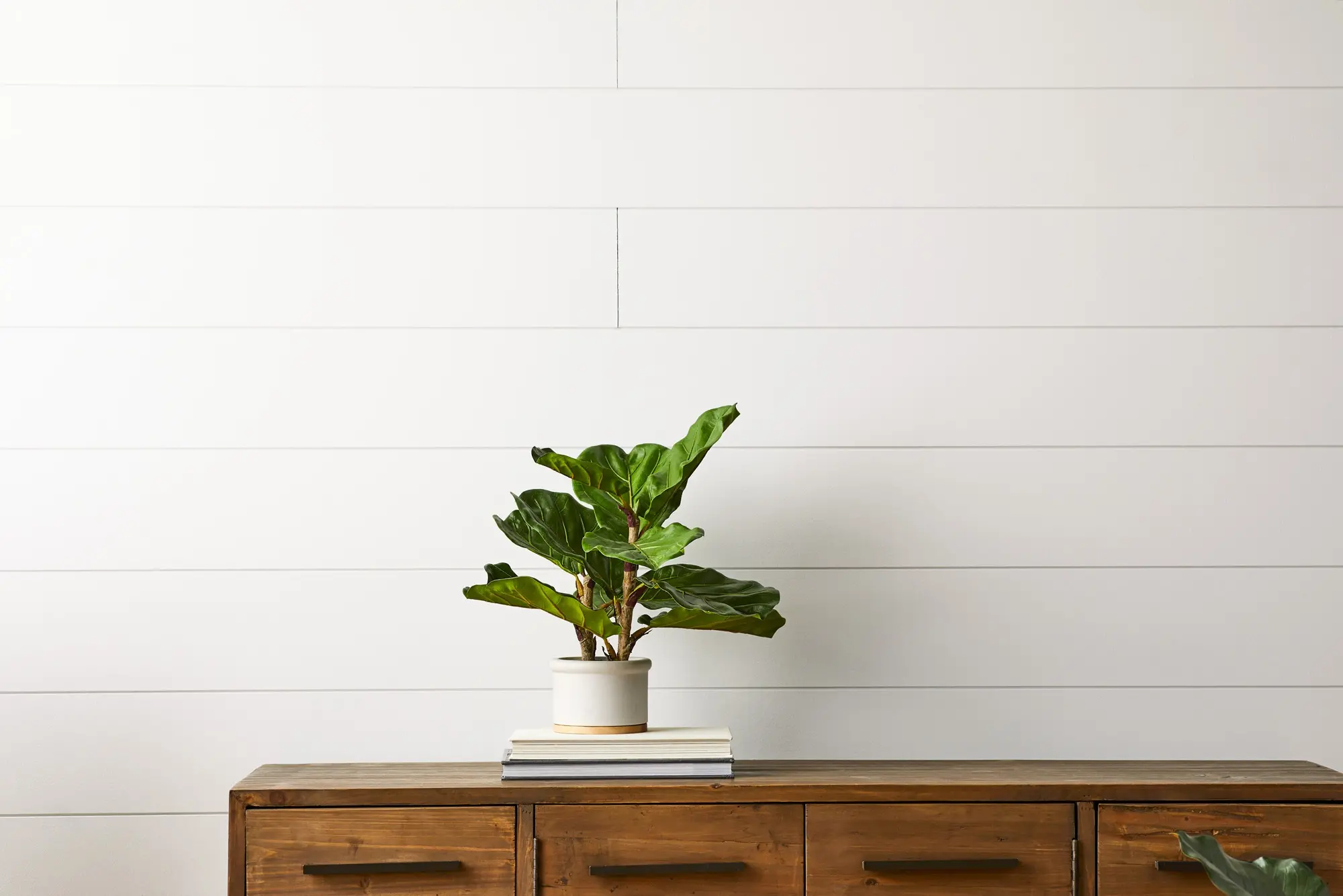 Potted 18 Inch Faux Fiddle Leaf Fig Arrangement - Dumpling