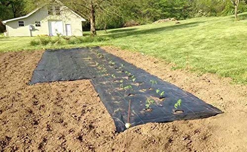 Agfabric Easy-Plant Weed Block for Raised Bed Outdoor Garden Weed Rugs Garden mat 3.0oz, 4'x12',with Planting Hole Dia 4"