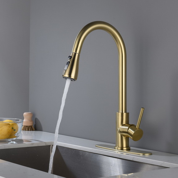 Kitchen Faucet with Pull Out Spraye TH 4003LSJ