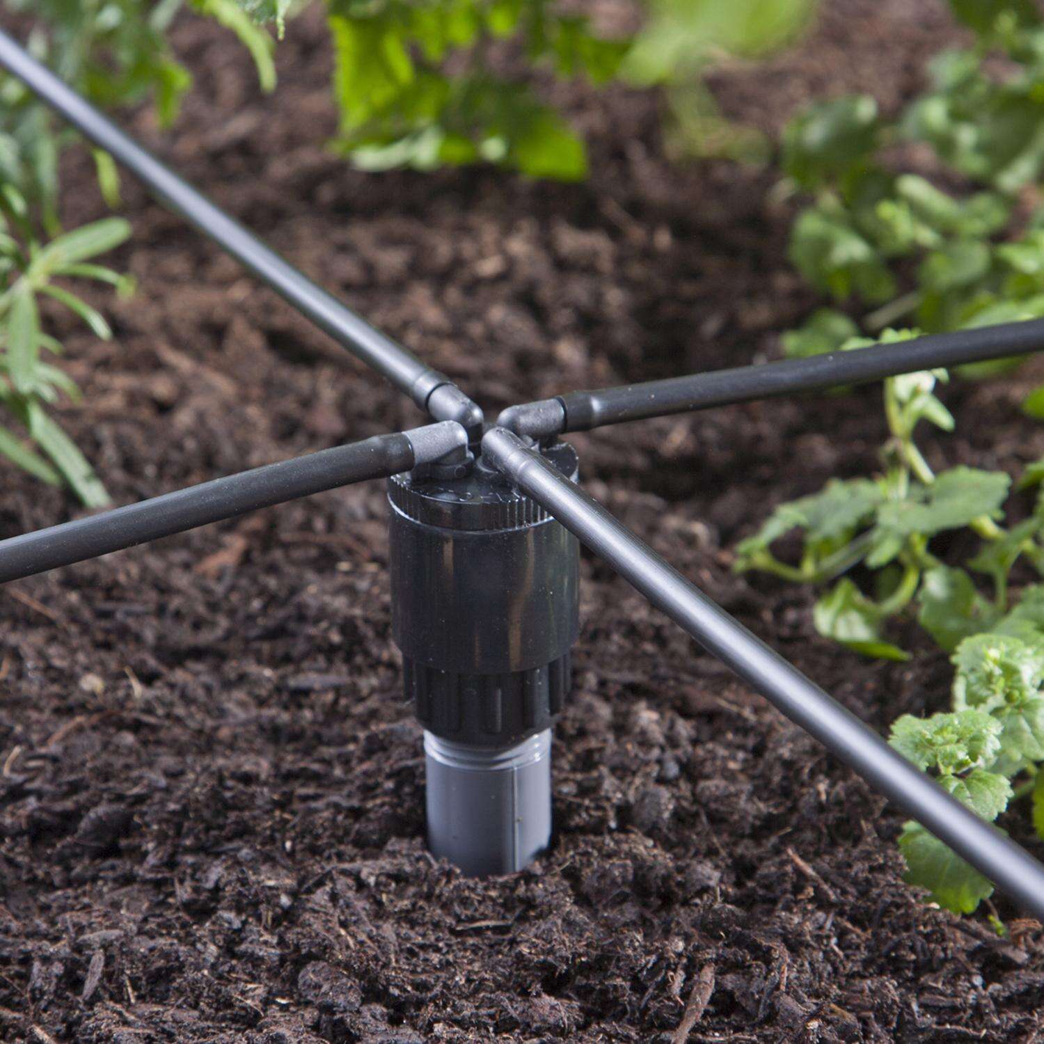 Raindrip Spot Drip Irrigation Bubbler 6 gph 1 pk