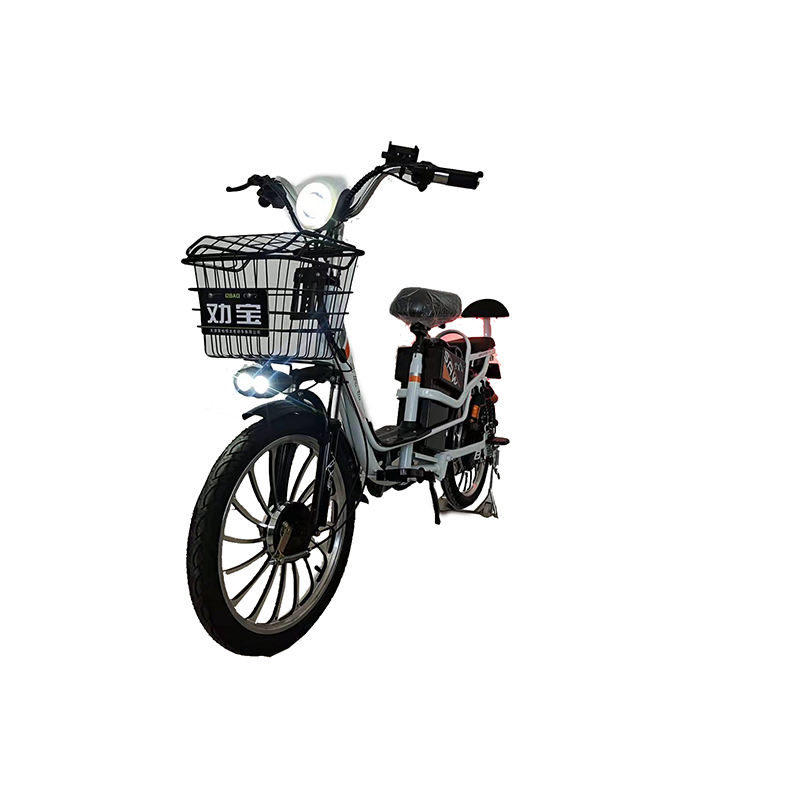 electric delivery bike delivery e bike/e bike share system/2022 new model electric cycle for delivery fast electric cycle