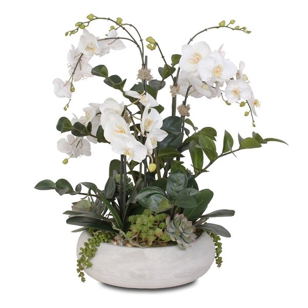 Two Tone White Silk Phalaenopsis Orchids，Succulents，ZZ Plant in Pot