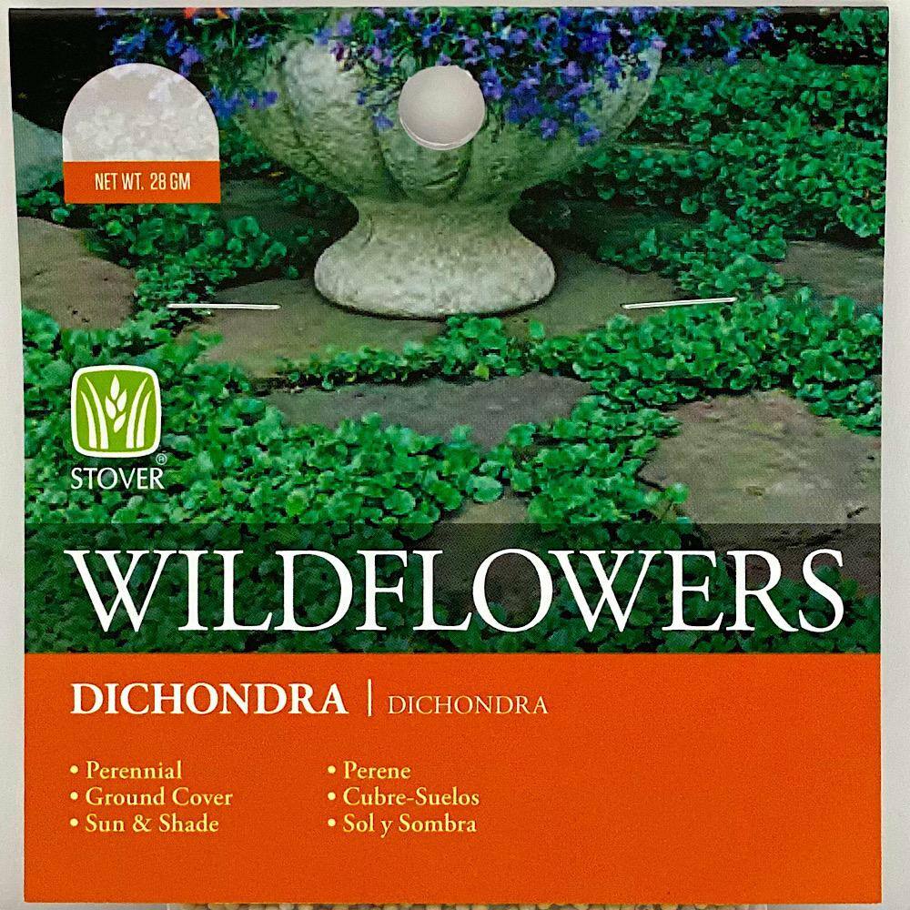 Dichondra 79031-6