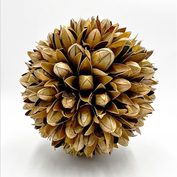 Set of Decorative Wood Bowl in Brown with Preserved Pinecone Topiary Balls