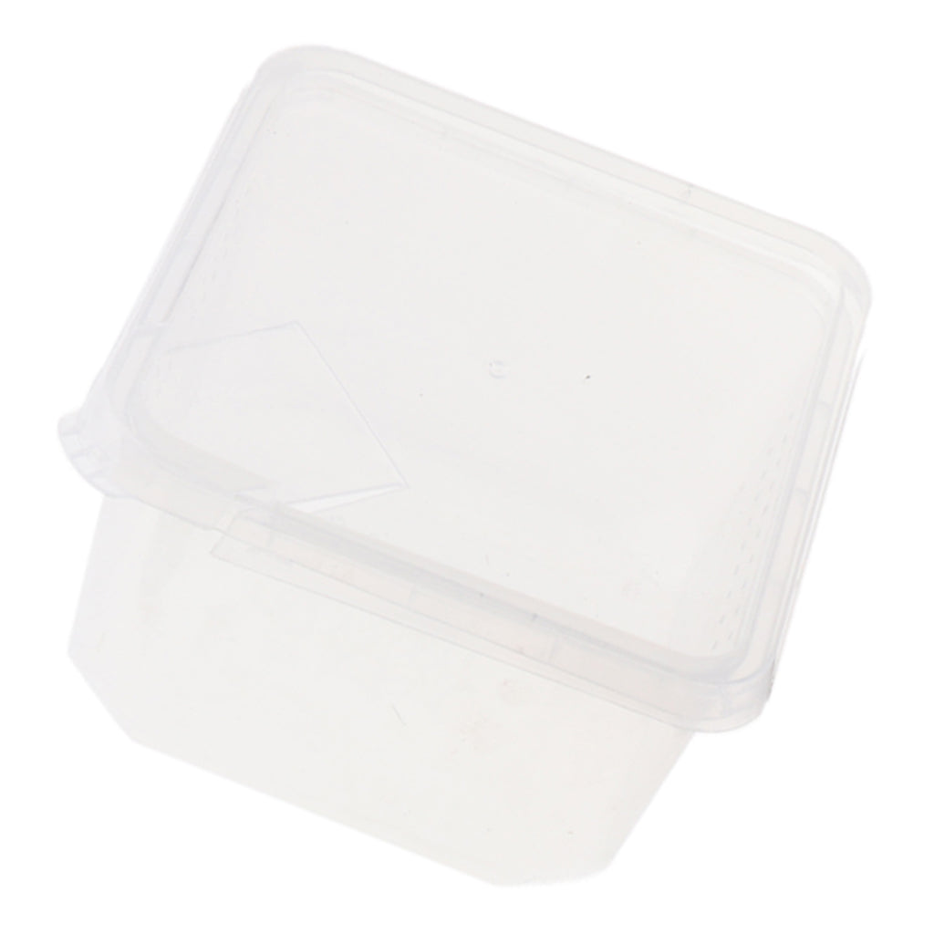 Spider Habitat Feeding Breeding Box Case Container 12x12x7cm