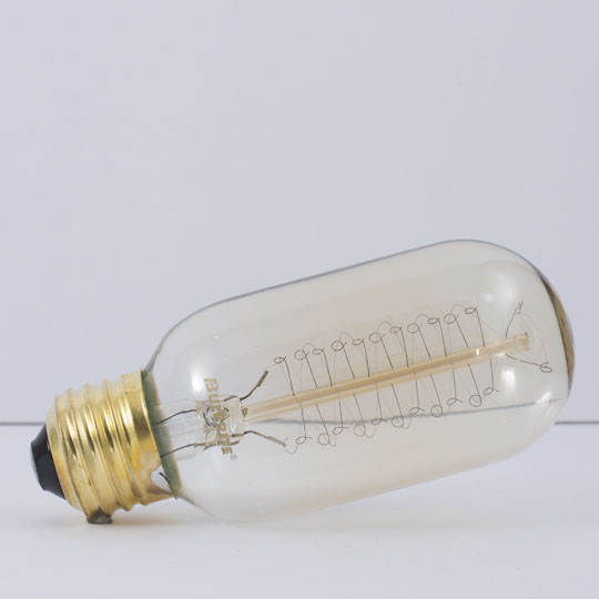 Bulbrite Incandescent T14 Medium Screw (E26) 40W D...