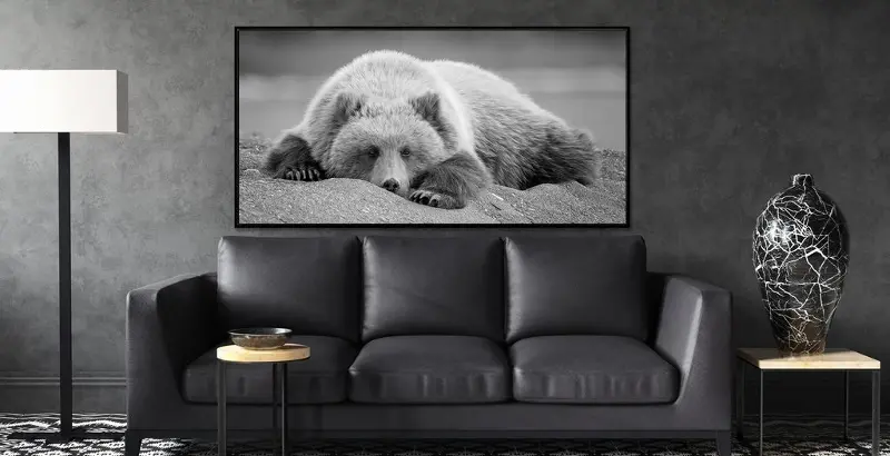 Black and White Bedroom Eyes Fine Art Print in Black Floater Frame