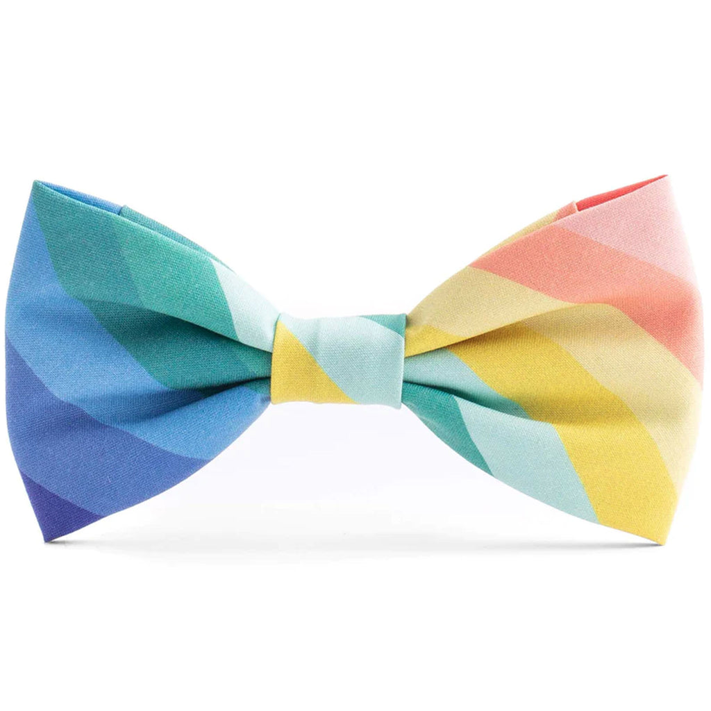 The Foggy Dog Bowtie - Over the Rainbow