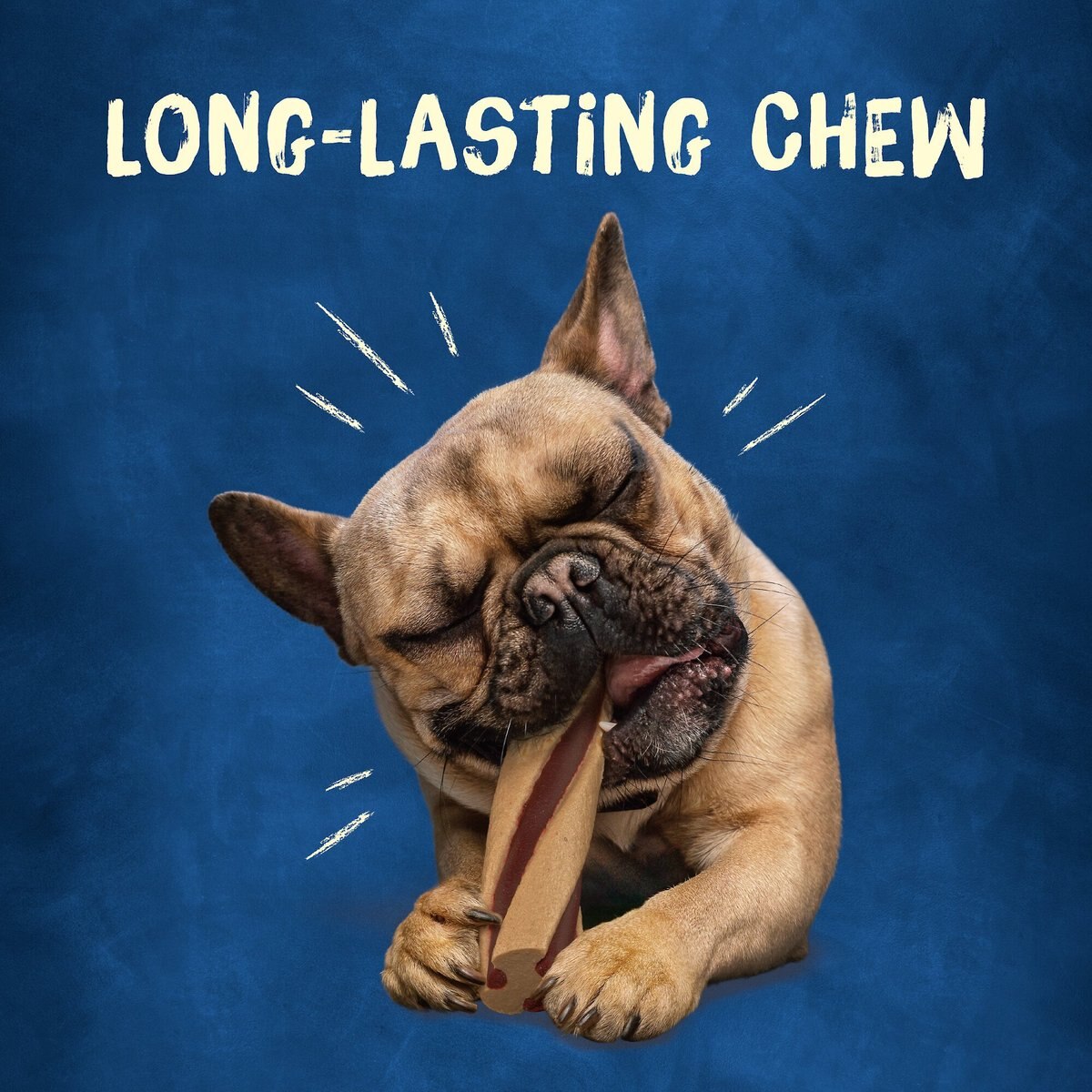 Busy Bone with Beggin' Twist'd! Long-Lasting with Real Bacon Mini Dog Treats