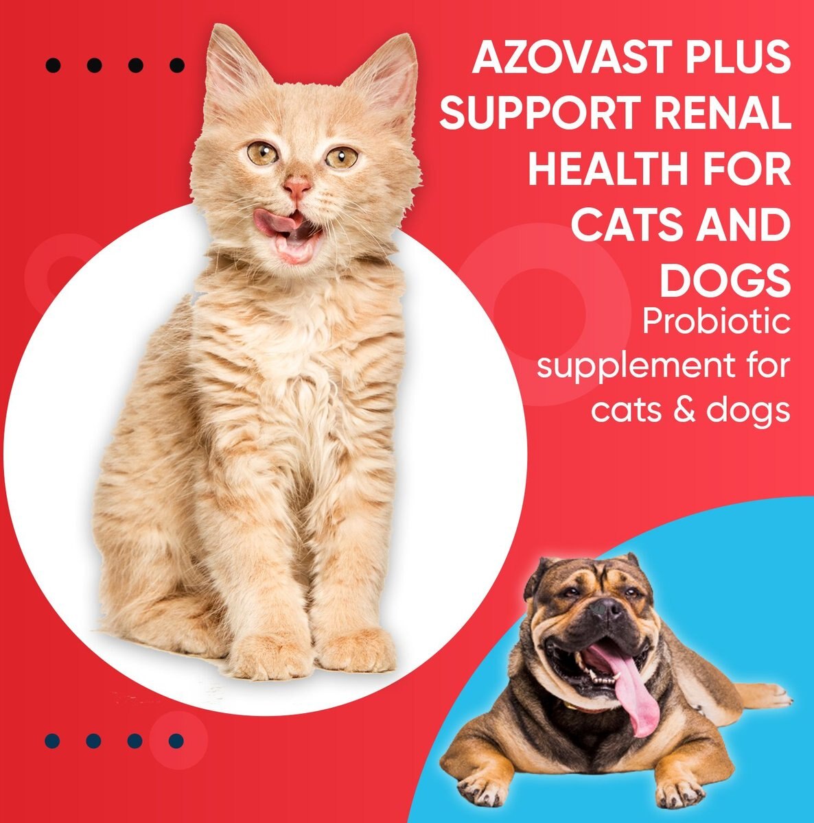 Pet Health Pharma Oral Paste Azovast Plus for Dogs and Cats， 60 count