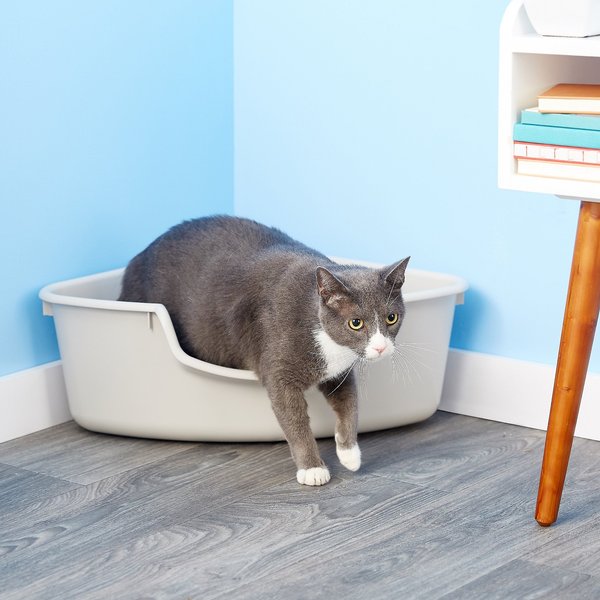 SmartCat Corner Litter Box