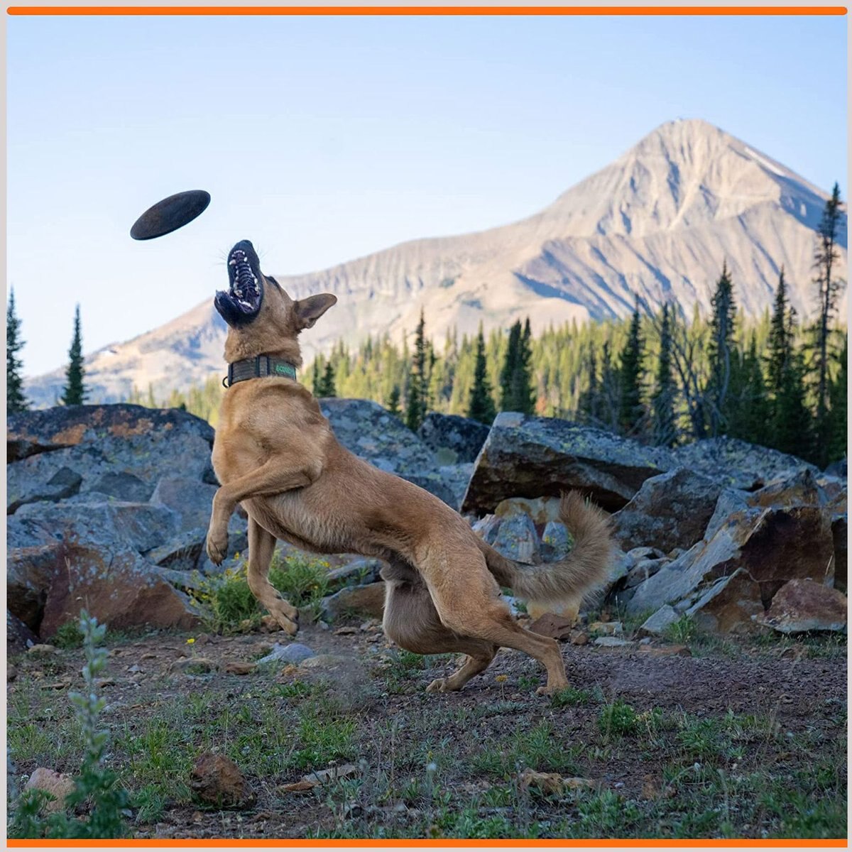 Monster K9 Dog Toys Ultra-Durable Flying Disc Dog Toy