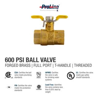 ProLine 12 in. x 12 in. Brass T-Handle Ball Valve 107-823THN