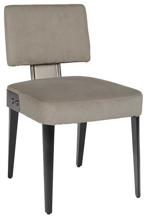 Robin Dining Chair  Antonio Cameo   Midcentury   Dining Chairs   by Sunpan Modern Home  Houzz