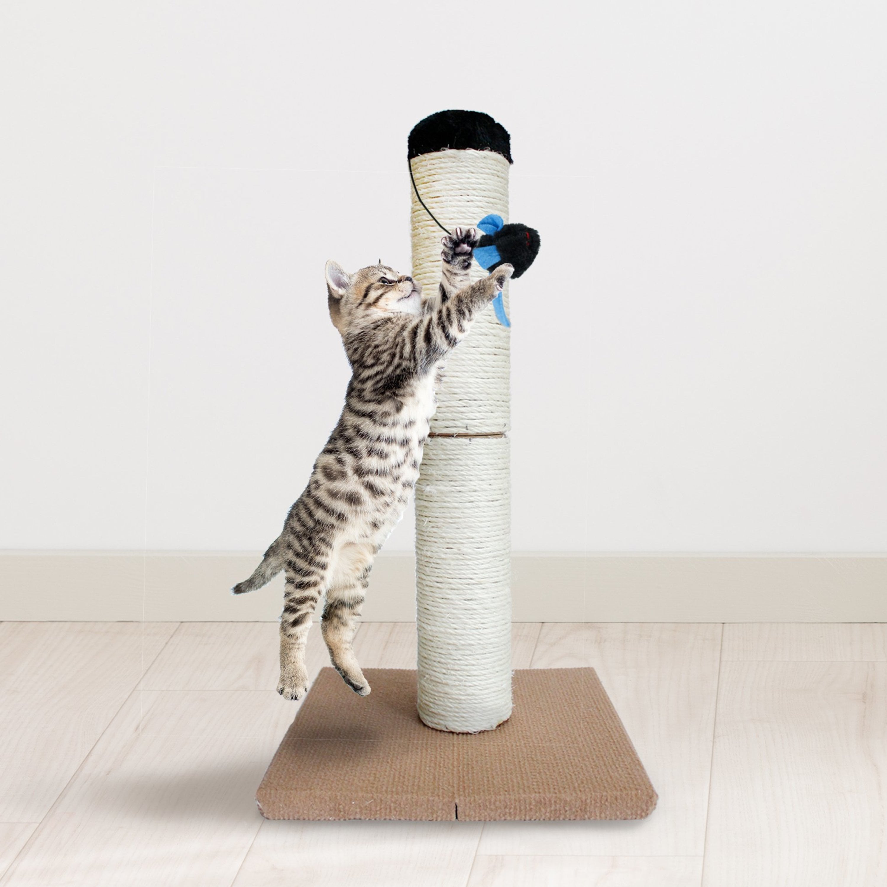 Downtown Pet Supply Cat Scratching Post 22