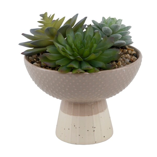 Artificial Plant Succulent Mix in Two Tone Bowl Ceramic Planter