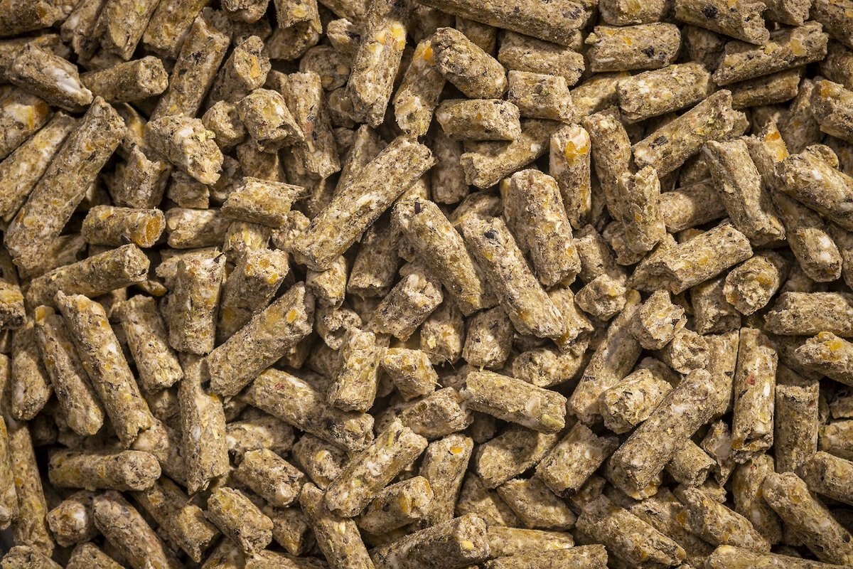 Modesto Milling Organic， Non-Soy Layer Pellets Poultry Feed