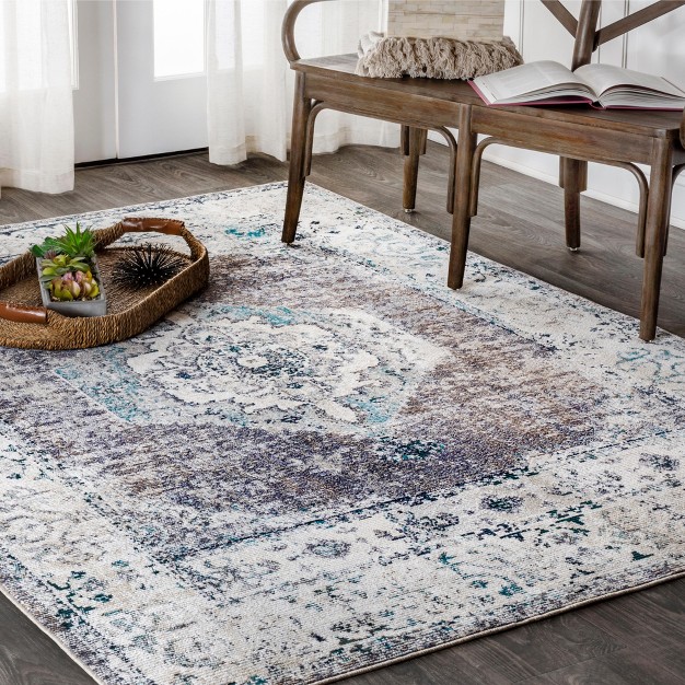 Cadiz Vintage Medallion Area Rug Jonathan Y