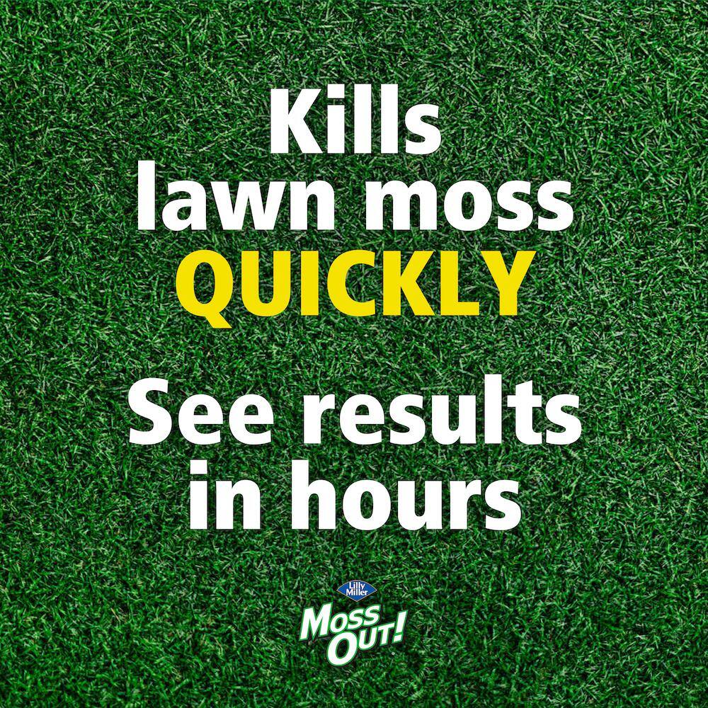 Moss Out! 20 lb. Moss Out! Moss Killer Lawn Granules 100099164