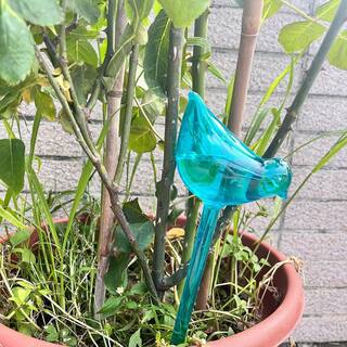 Cubilan Plant Watering Stakes Plant Automatic Self-Watering Globes Plastic Balls Garden Water Device Watering Bulbs (10-Pieces) B09TK3P5WF