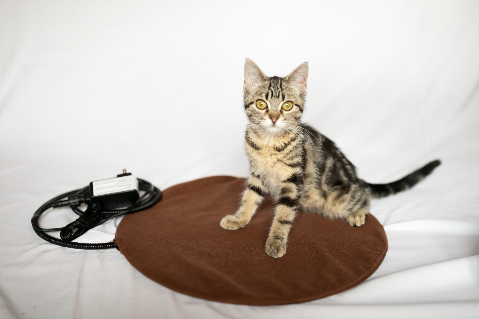 The Kitty Tube Low Voltage Round Heated Pet Pad