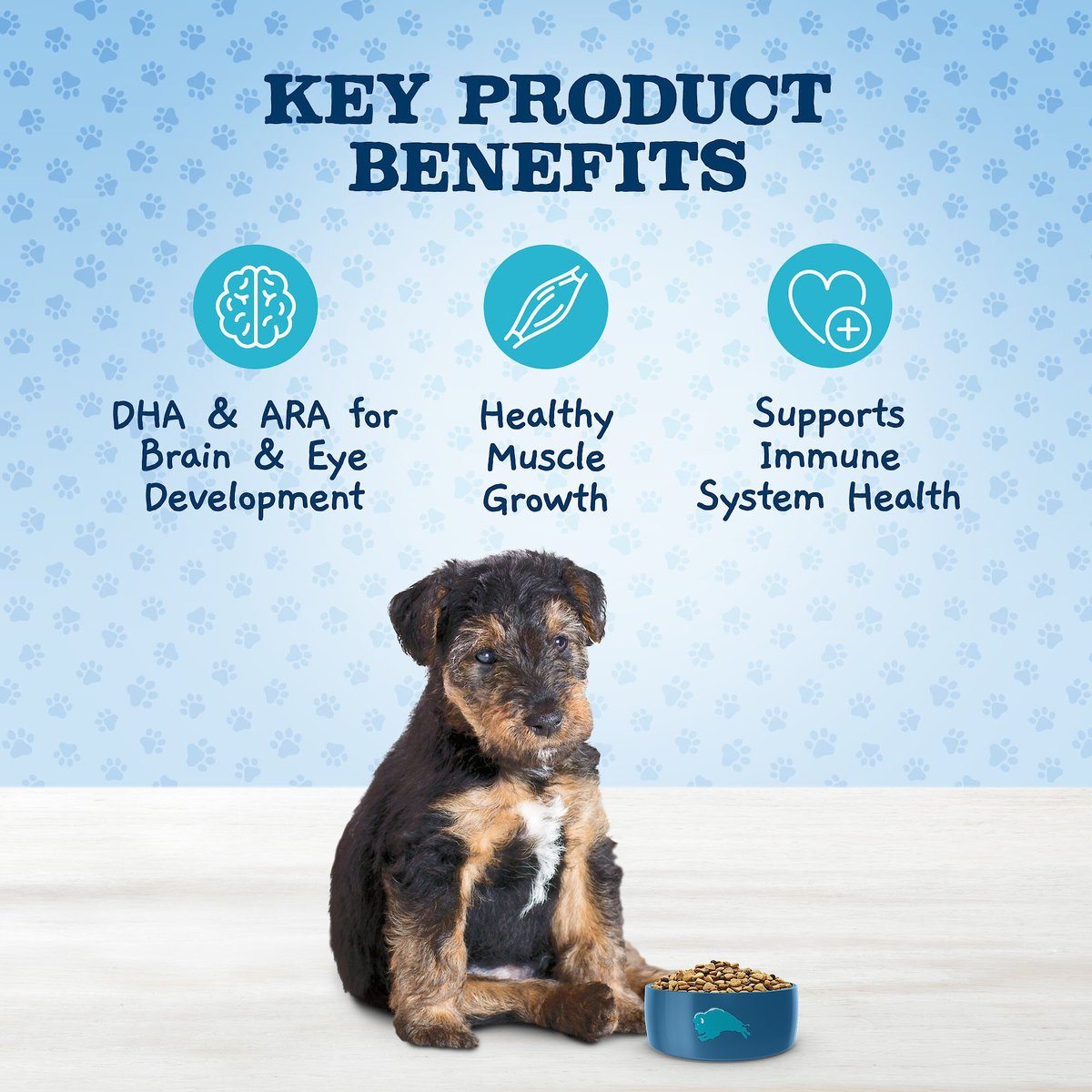 Blue Buffalo Baby Blue Healthy Growth Formula Natural Chicken and Brown Rice Recipe Puppy Dry Food