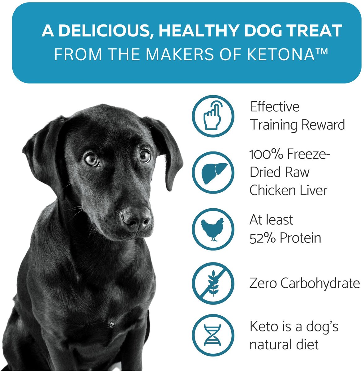 KetoNatural Ketona Single Ingredient Chicken Liver Flavor Freeze-Dried Dog Treats， 2-oz bag