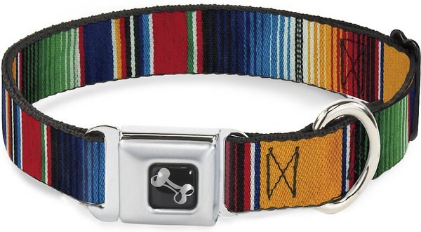 Buckle-Down Zarape Dog Collar