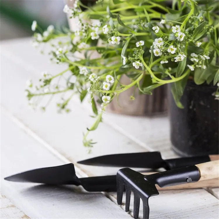 Mini Garden Tools Plant Potted Gardening Tools Three piece Set