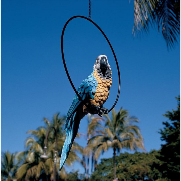 Design Toscano Polly In Paradise Parrot On Ring Perch Large