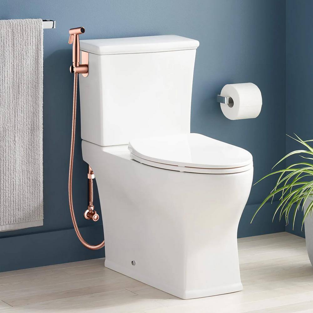 WELLFOR Non-Electric Bidet Attachment in Brushed Gold with Stainless Steel Handheld Sprayer (T-Valve ) WA-TH-FX0018-G