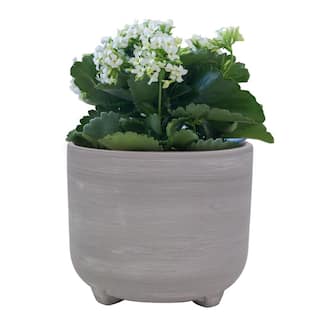 Trendspot 7 in. Ella Grey Ceramic Planter ECR01818N-07H