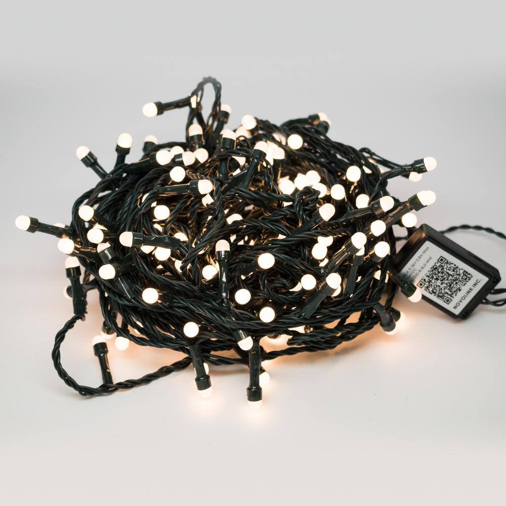 Novolink 8 mm 200 Lights Mini Globe Warm White LED Lights with Wireless Smart Control SL-200-8-BLE-WW